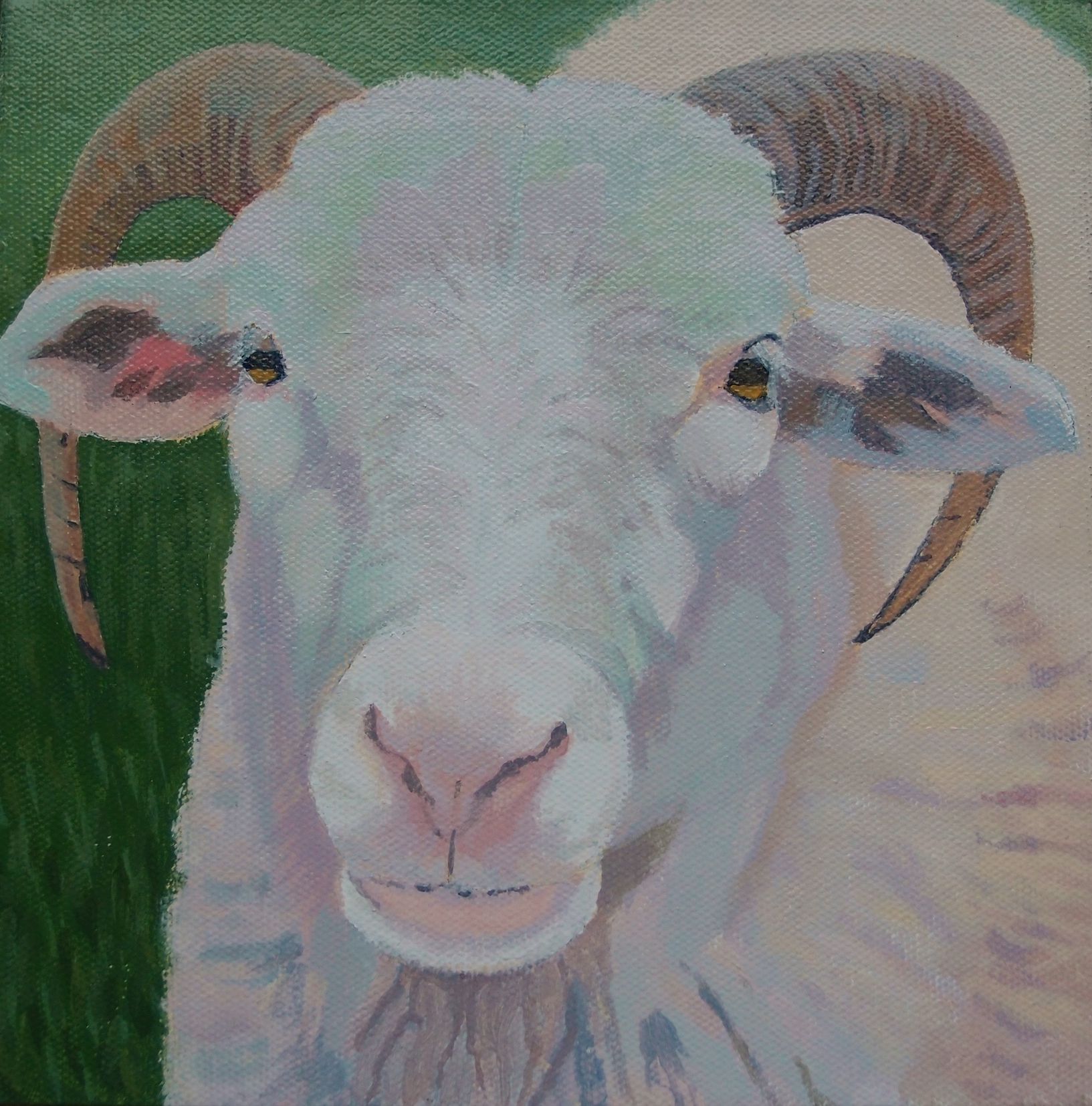 Only Ewe by Margaret Crutchley