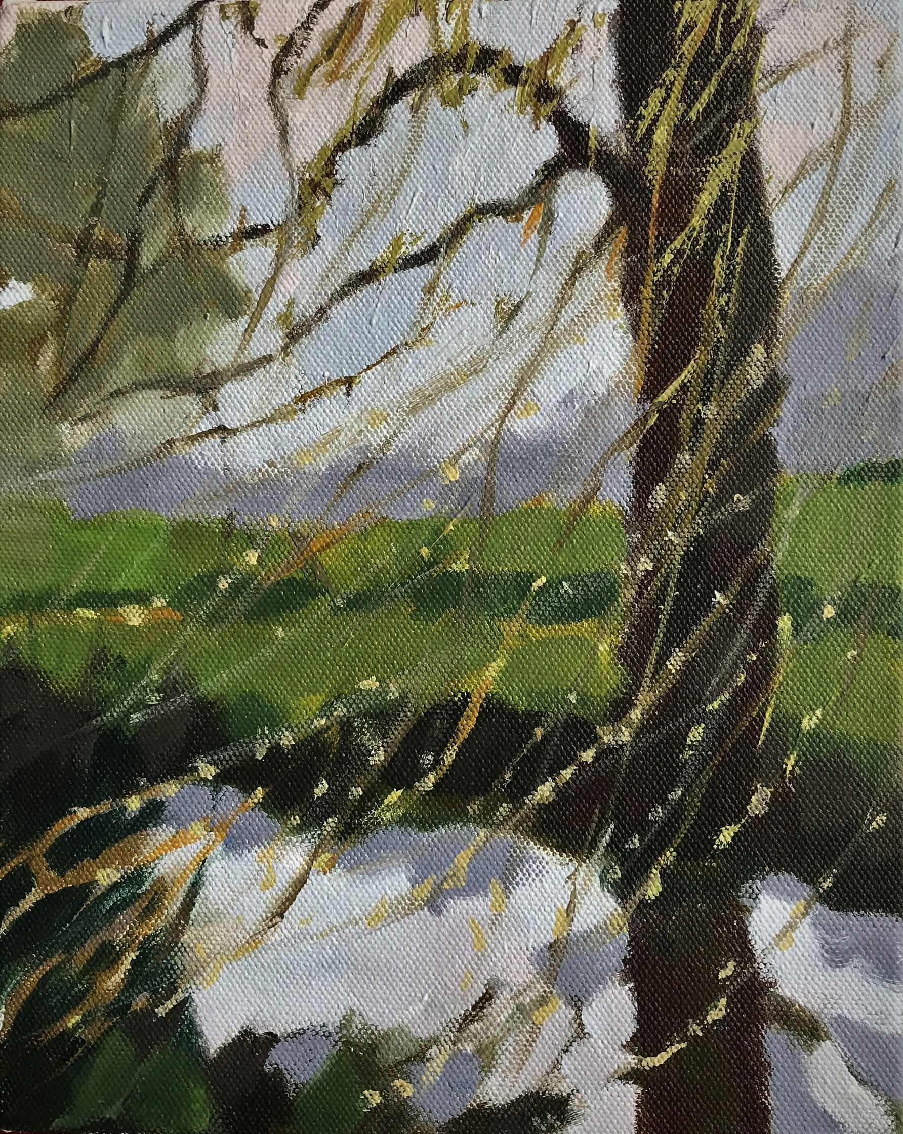 Spring Willows by Margaret Crutchley