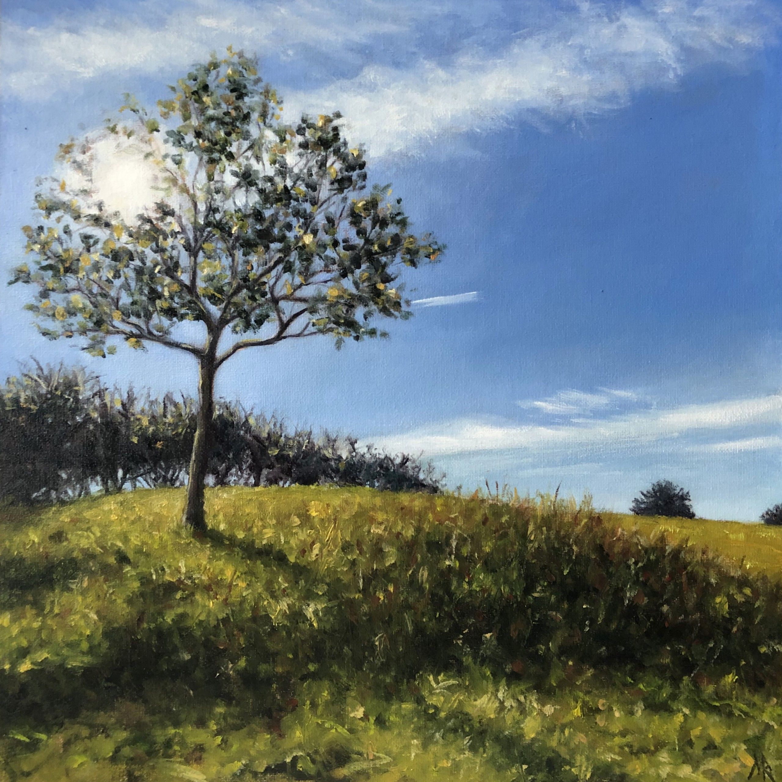 Sunlit Tree by Marie Robinson
