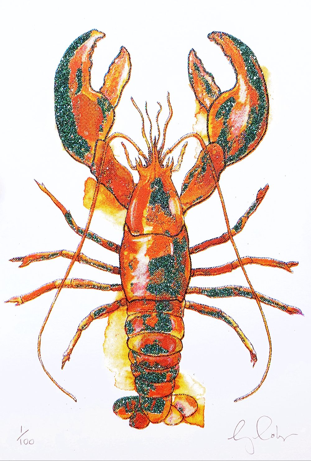 Mini lobster by Gavin Dobson
