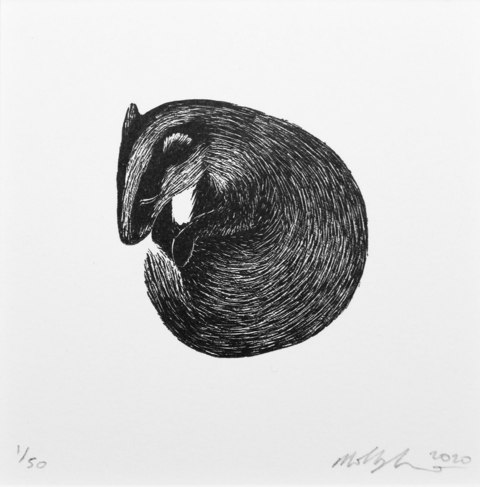 Sleeping Badger 2020 by Molly Lemon