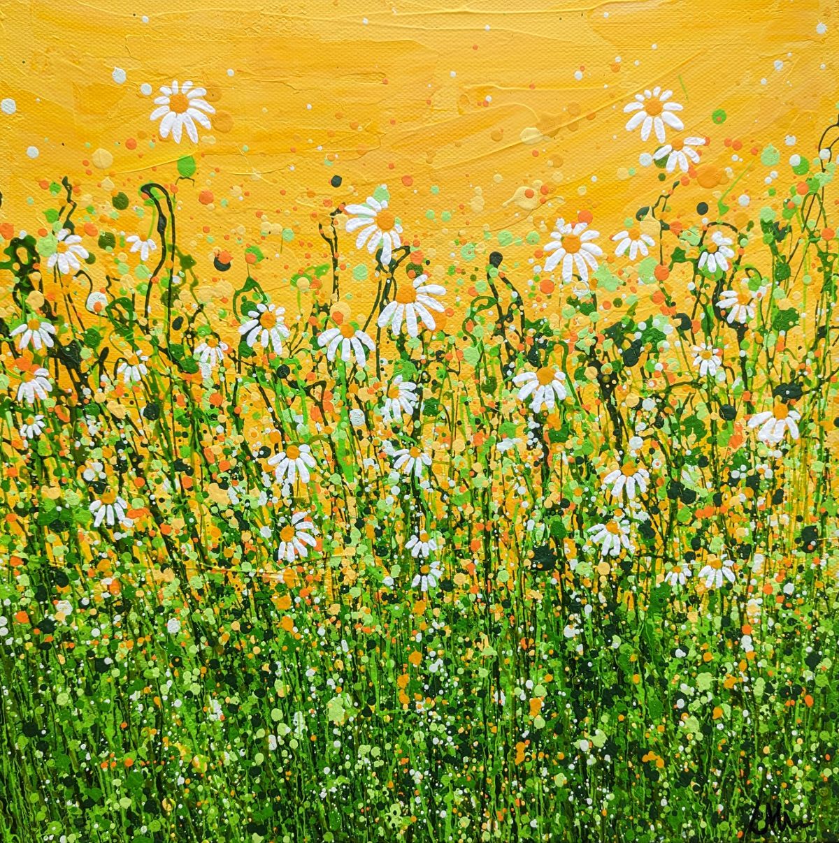 Morning Daisy Delight #6 by Lucy Moore