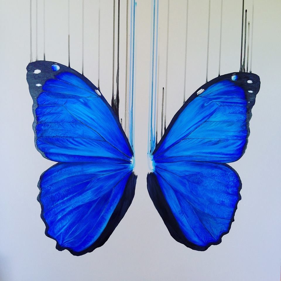 Morpho by Louise Mcnaught