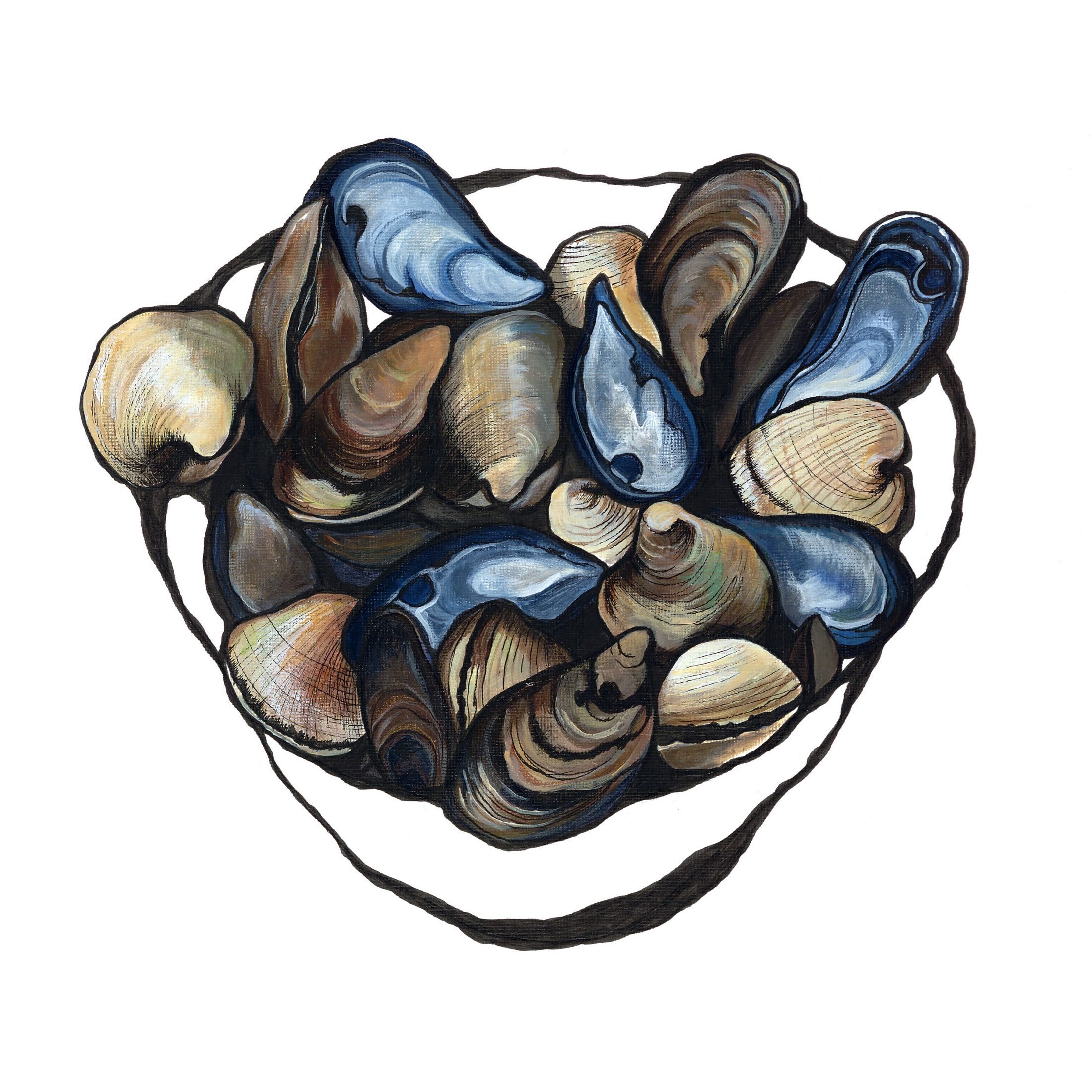Mussels & Clams by Lucy Routh