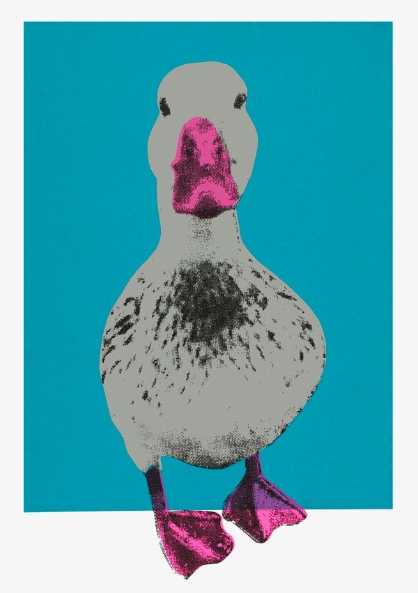 Nice Duck by Charlotte Gerrard