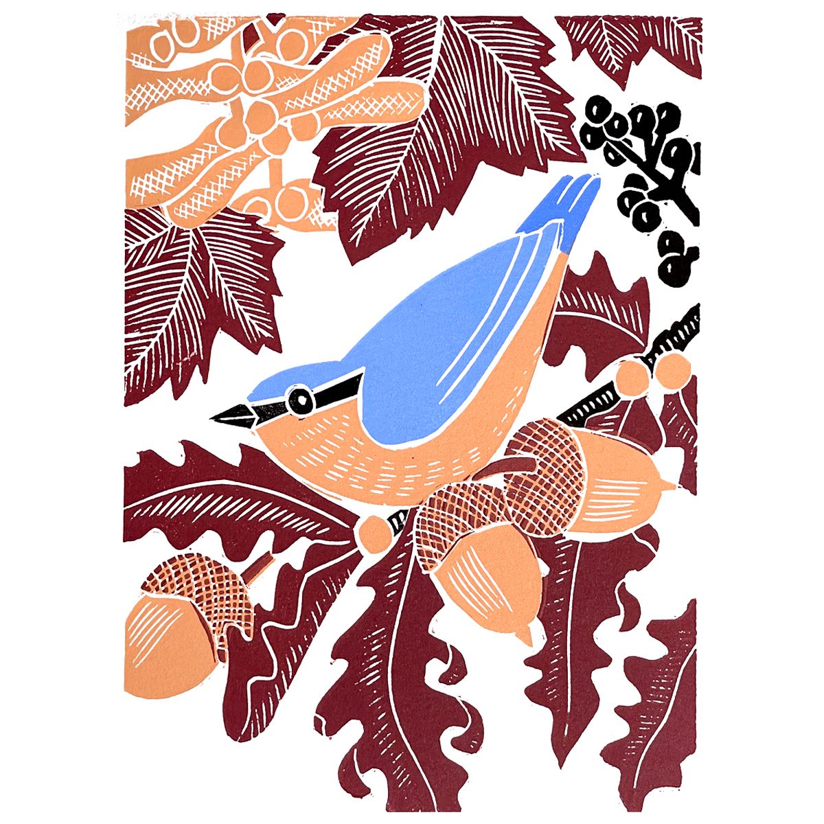 Nuthatch by Kate Heiss