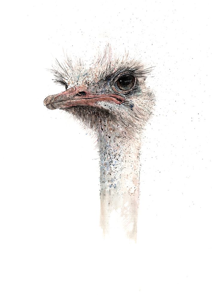 Ostrich 2 by Zaza Shelley