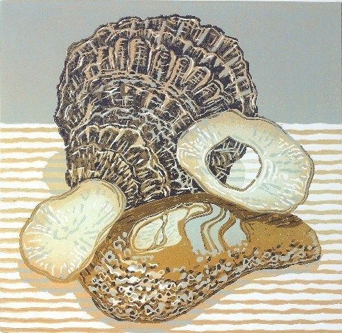 Oyster Shells by Mark A Pearce