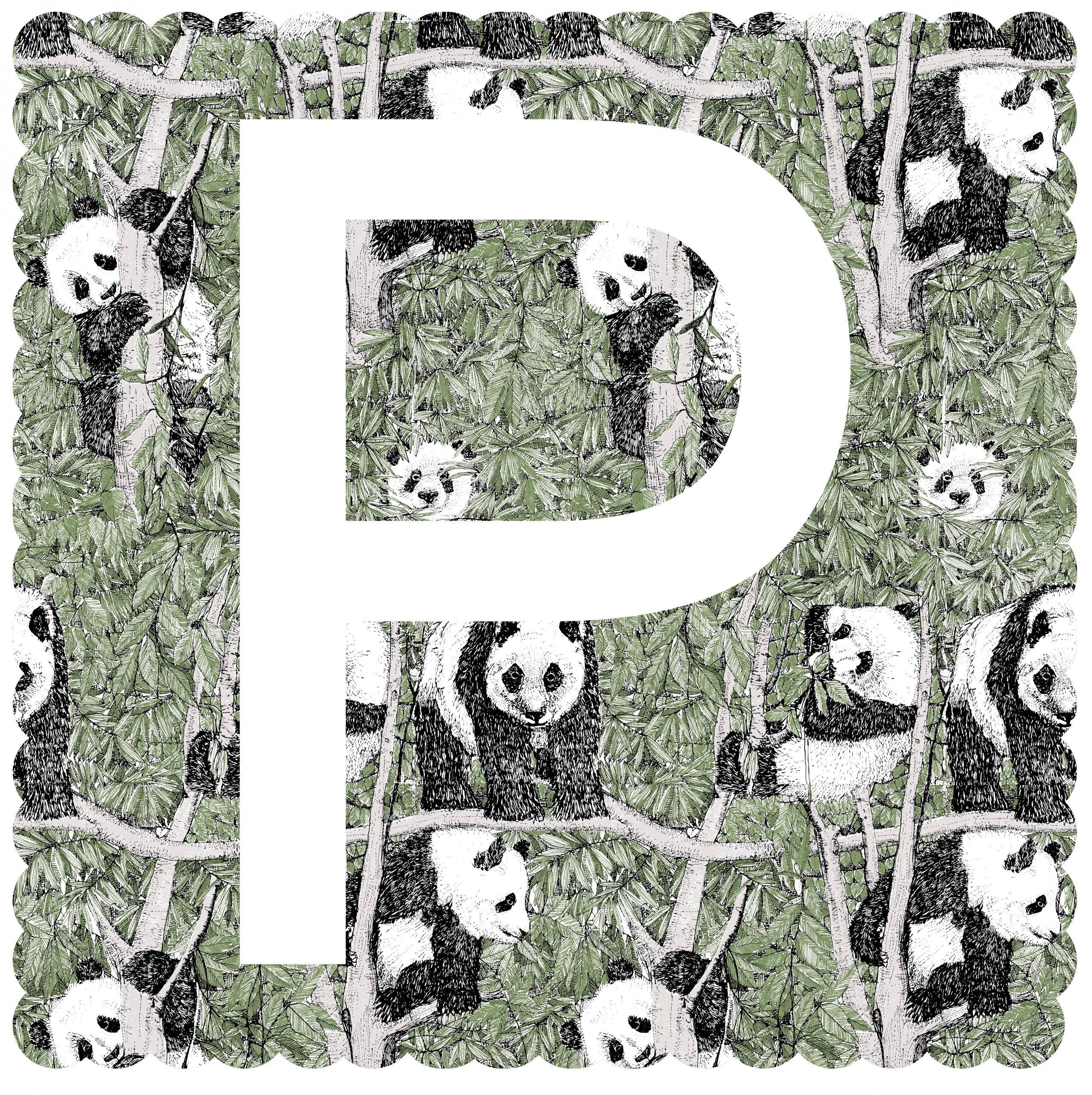 P is for Panda (large) by Clare Halifax