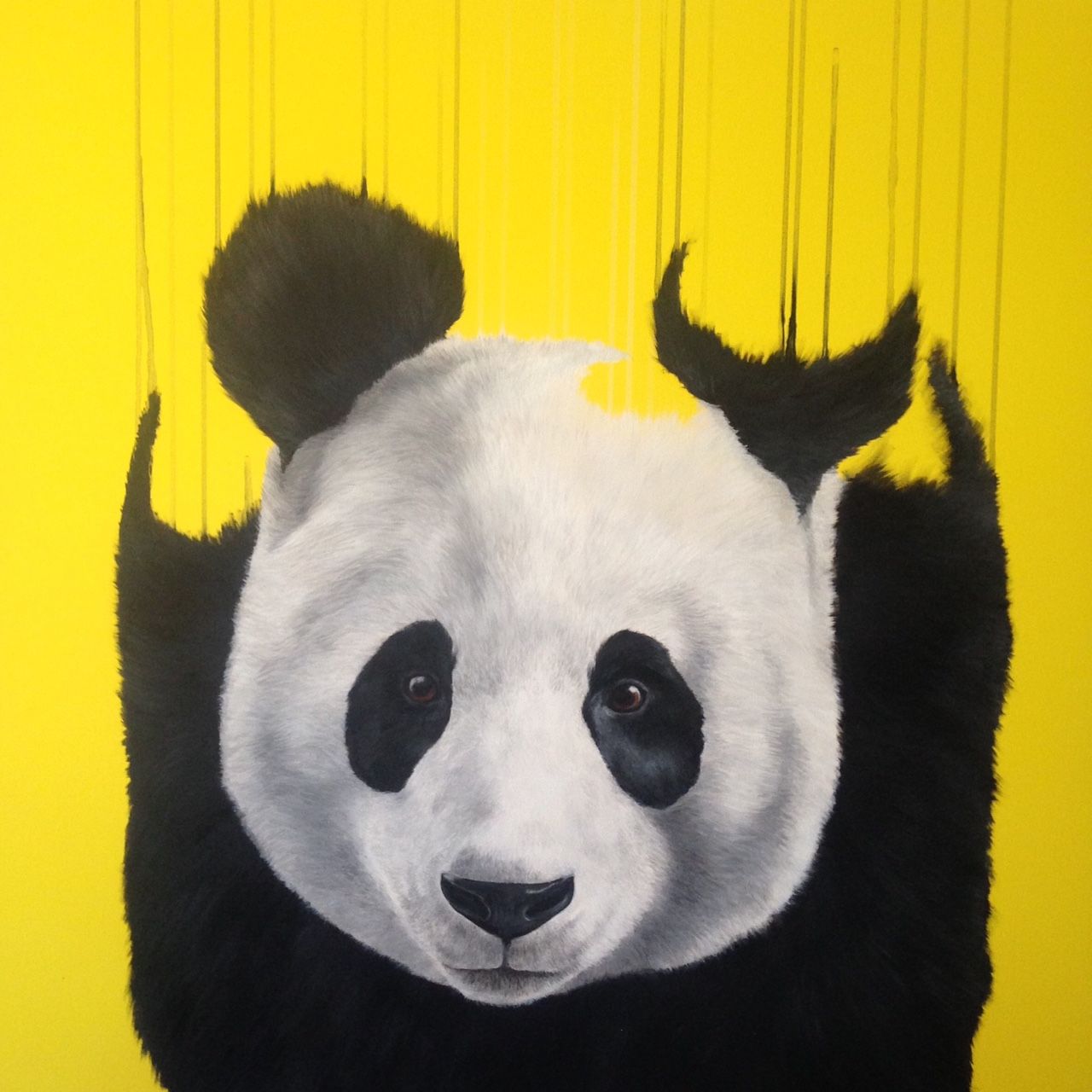 Pandaemonium by Louise Mcnaught