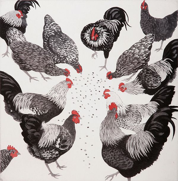 Pecking Order by Rosemary Farrer