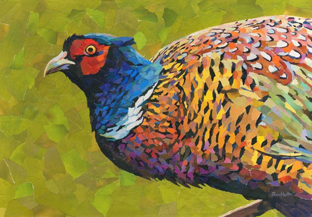 Pheasant Splendour by Paul Bartlett