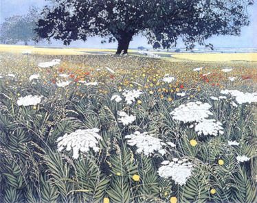 Spanish Fields by Phil Greenwood