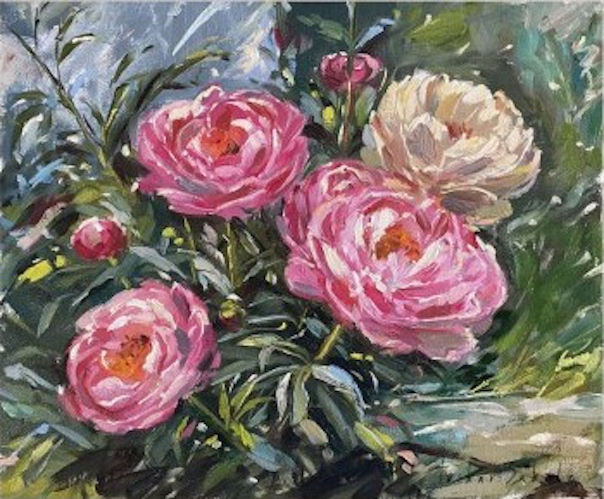 Pink and White Peonies by Tushar Sabale