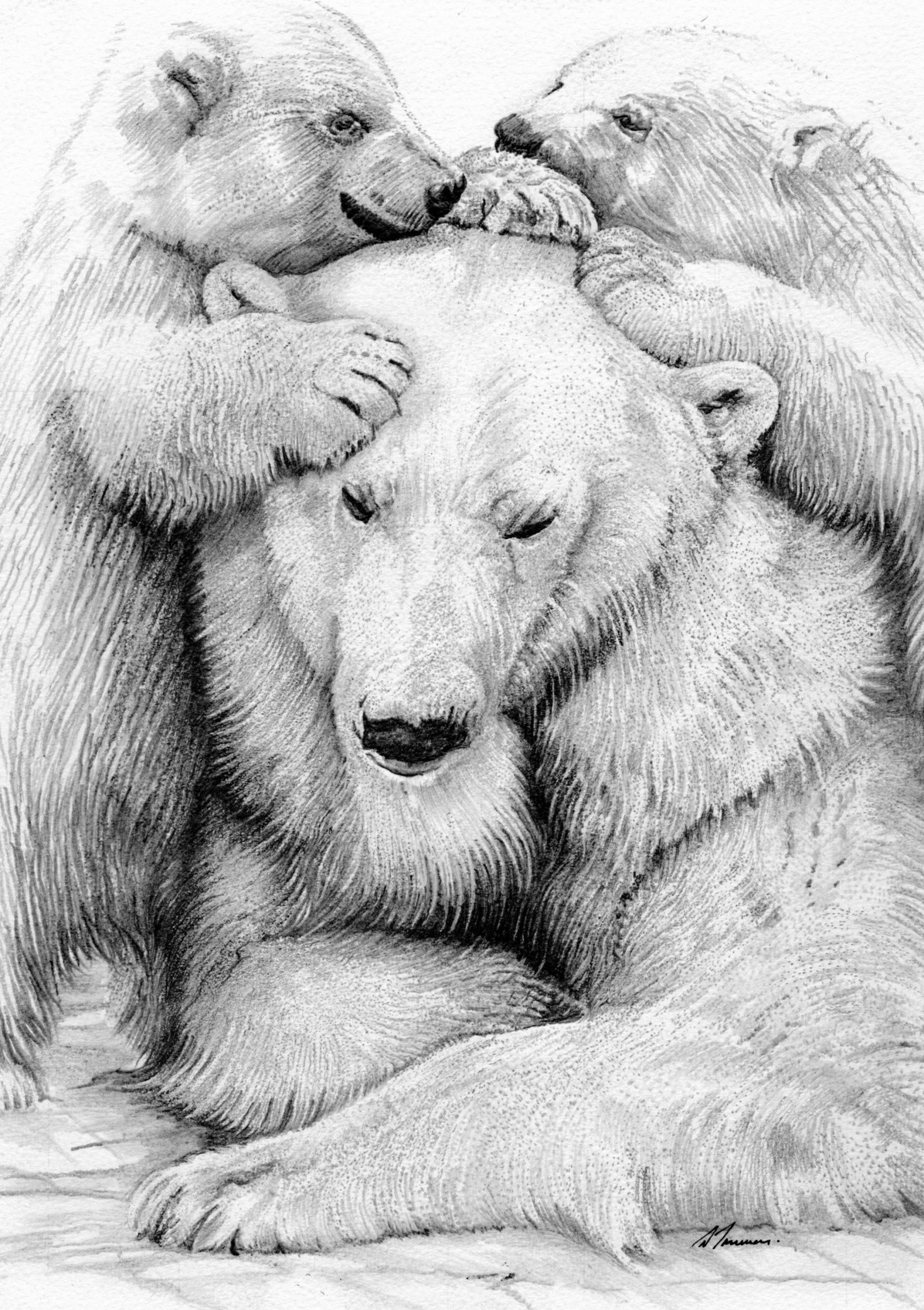 Polar Bear Family by David Truman