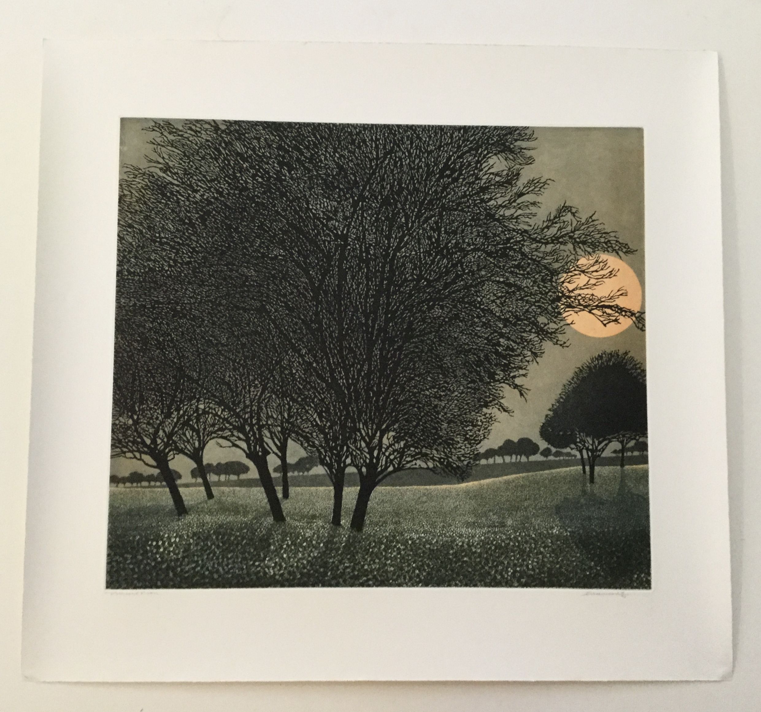 Primrose Moon by Phil Greenwood - Secondary Image