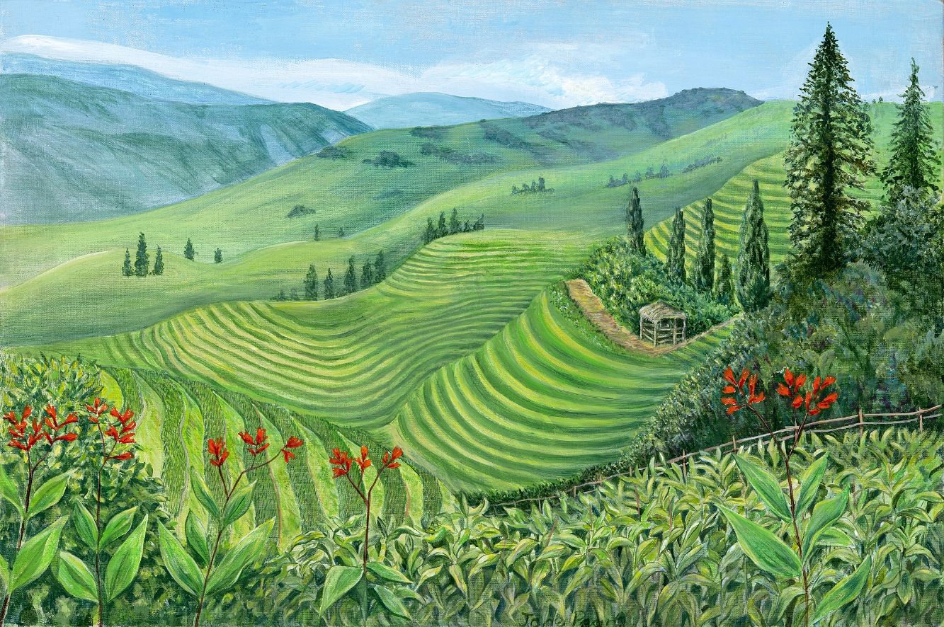 Pudi Rice Terraces by Jane Peart