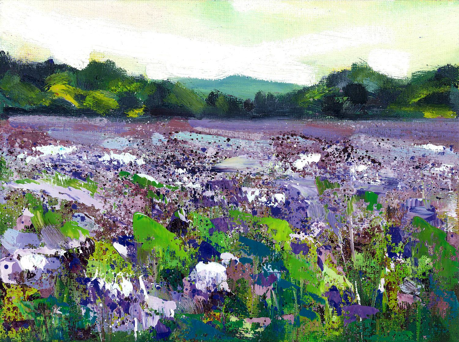 Purple Fields by Rachel Painter