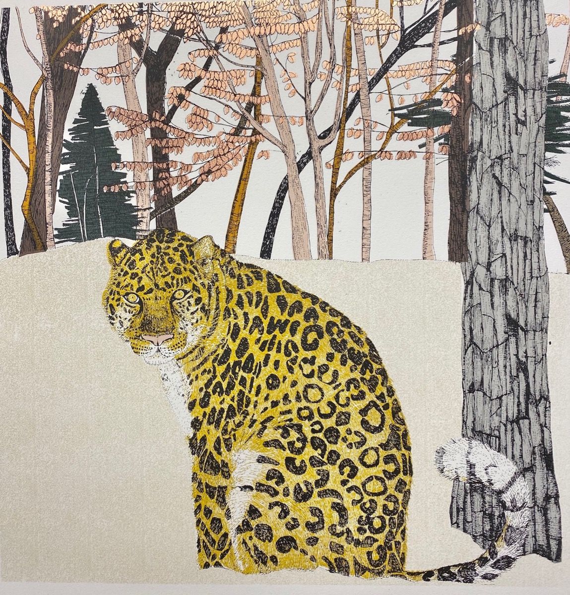Rare Beauty - Amur Leopard by Clare Halifax