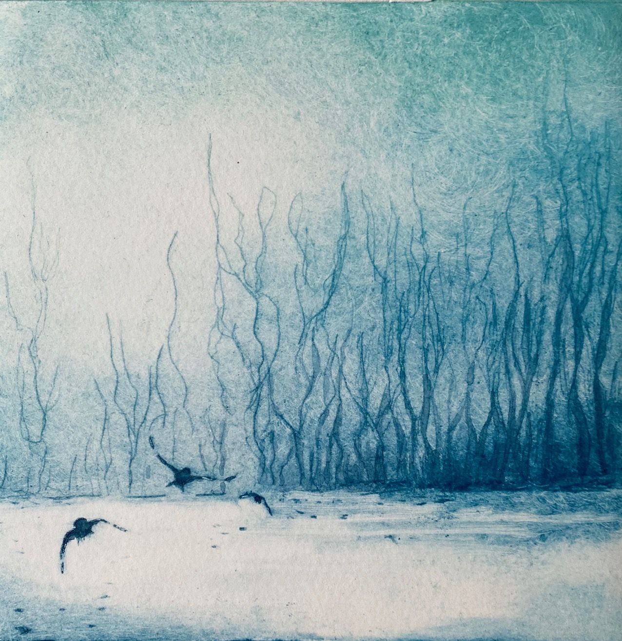 Winter Flight by Rebecca Denton