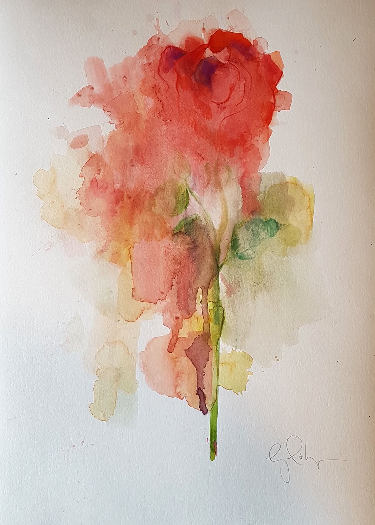 Red Rose, watercolour by Gavin Dobson
