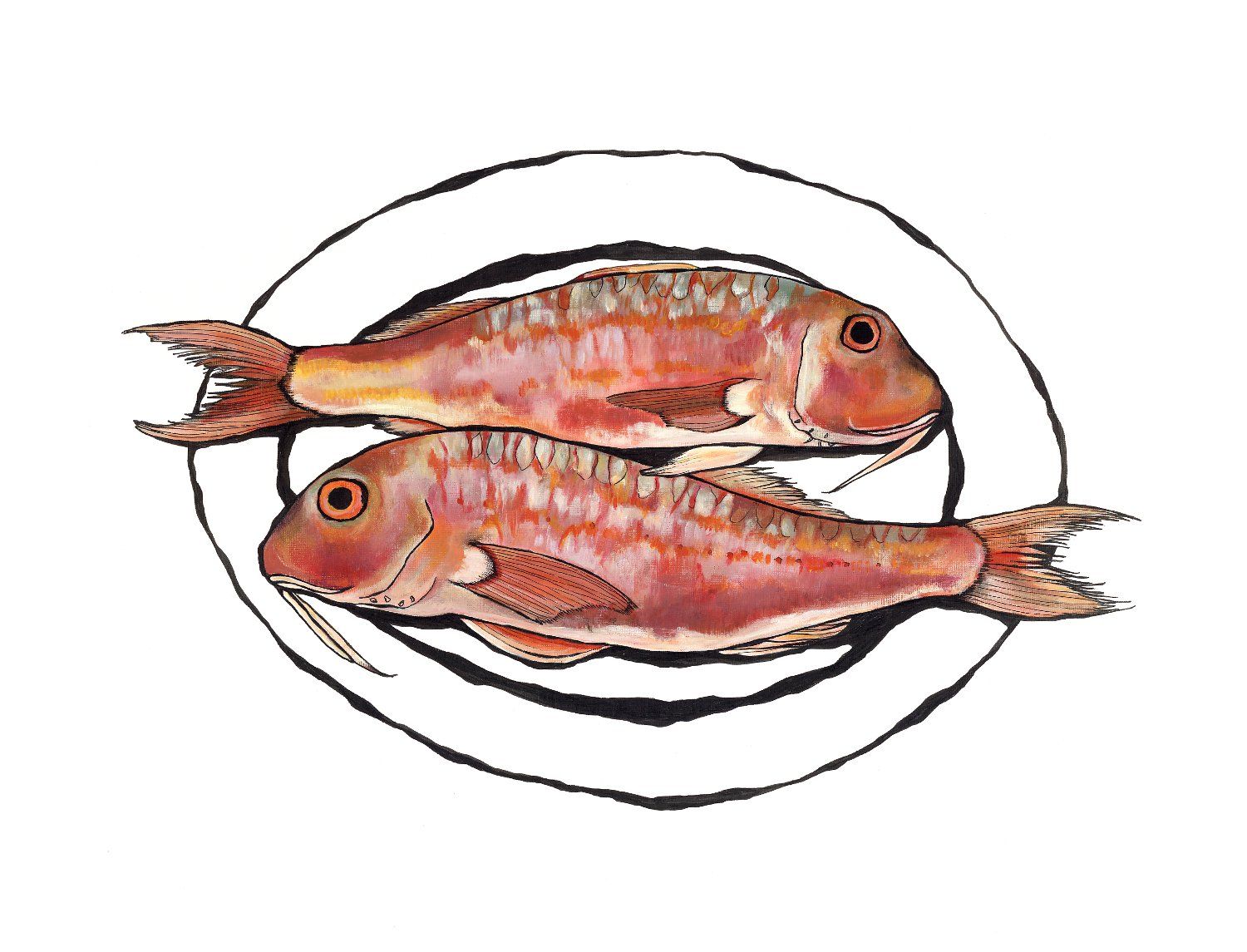 Red Mullet by Lucy Routh