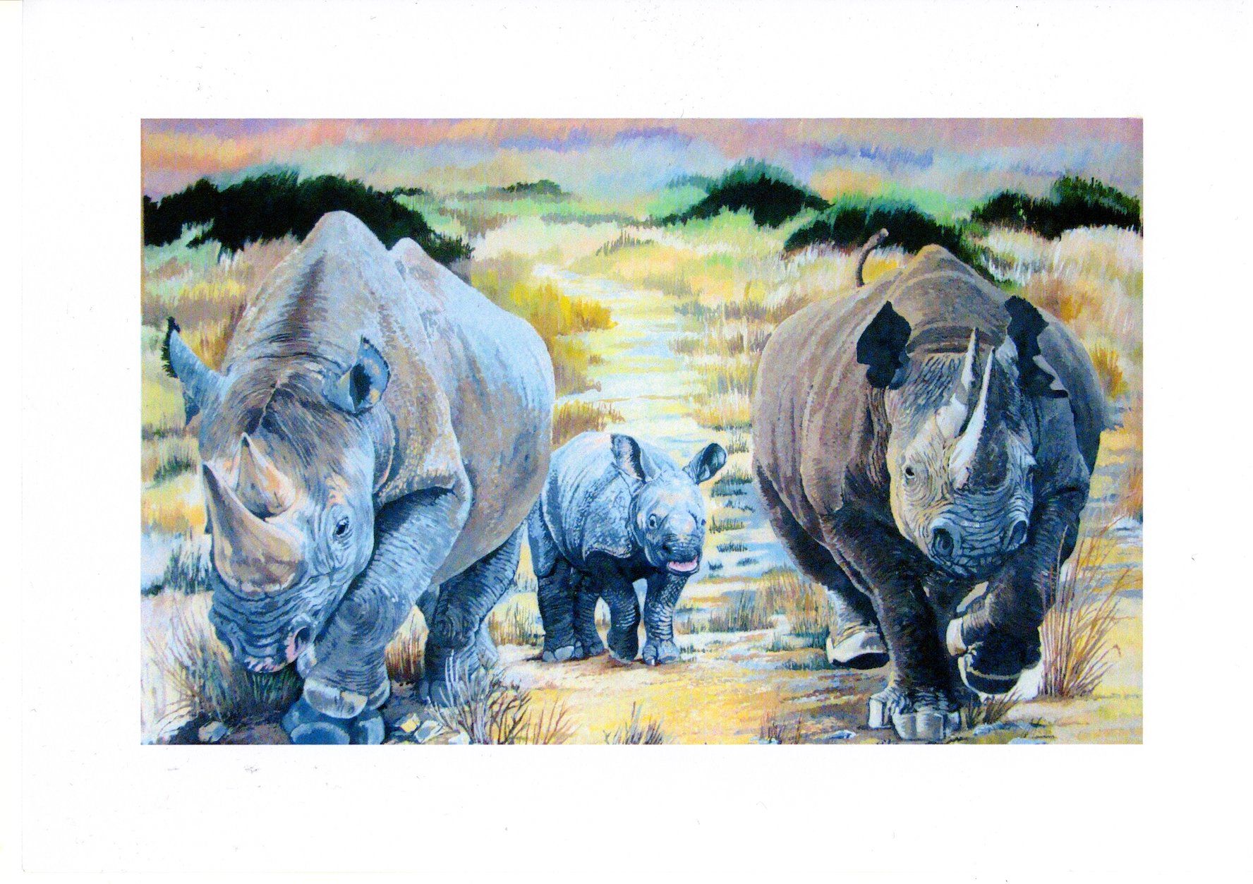 Crash of Rhino's by David Truman - Secondary Image