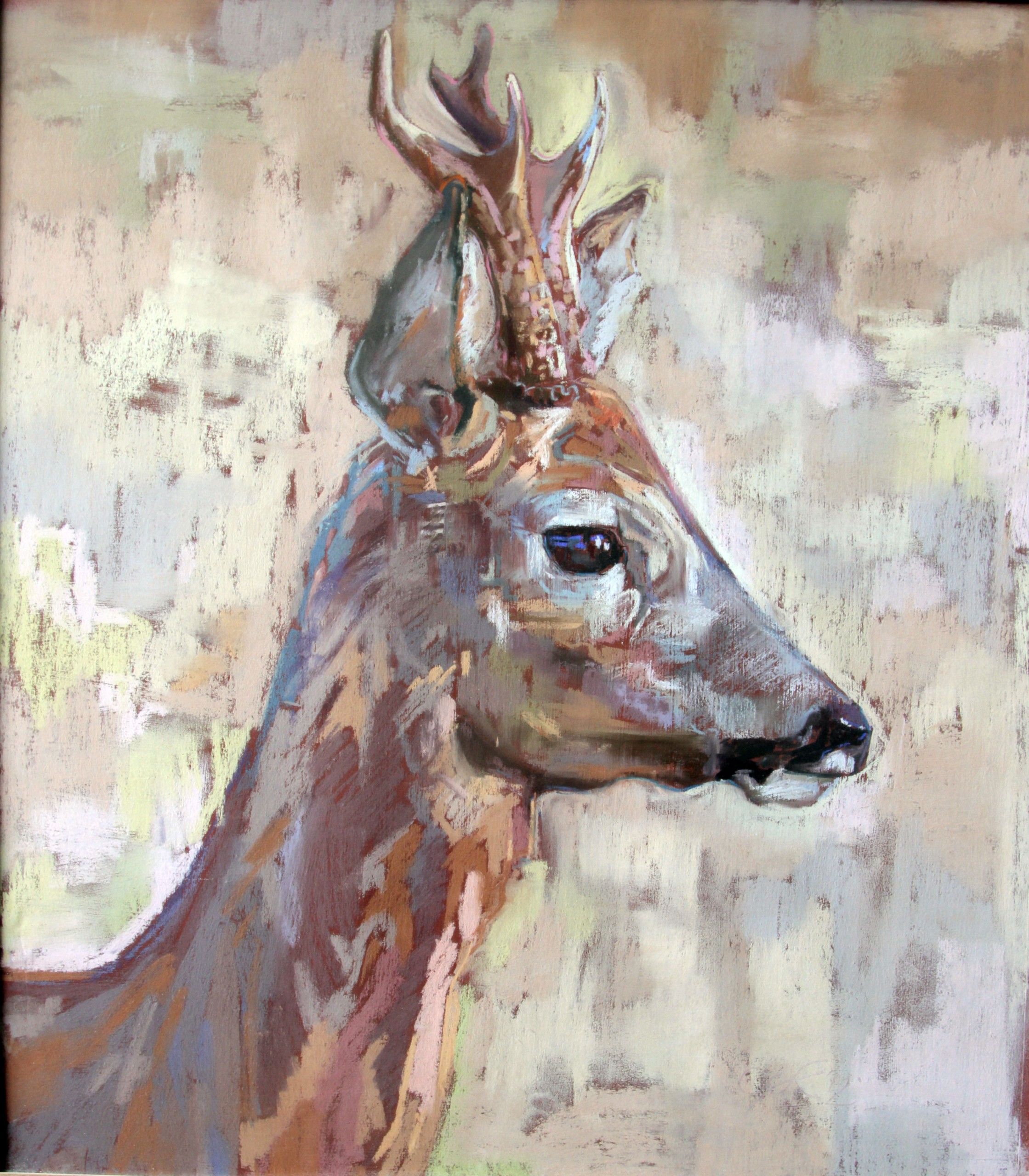 Roe Buck by Kate Knott