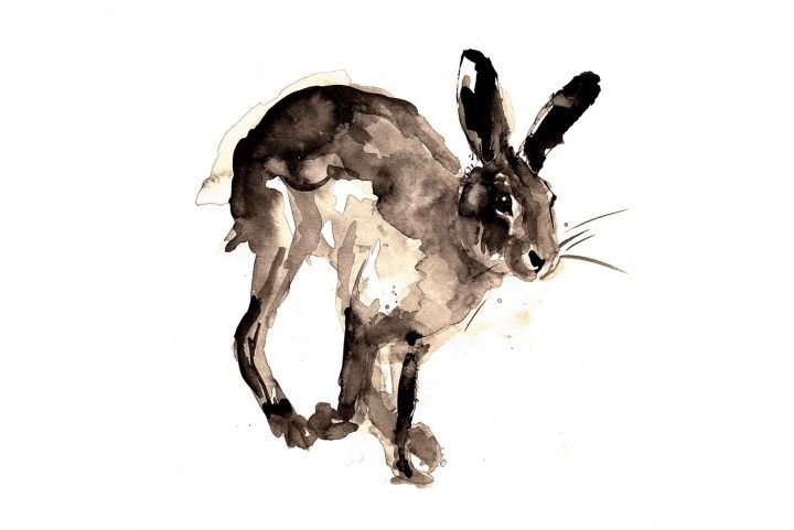Running Hare by Zaza Shelley
