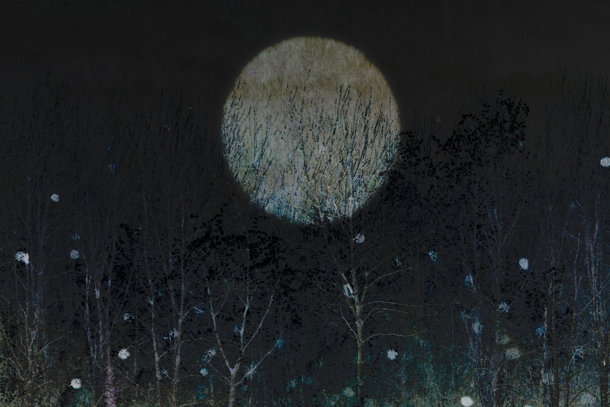 Winter Moon 4 by Sarah Brooks