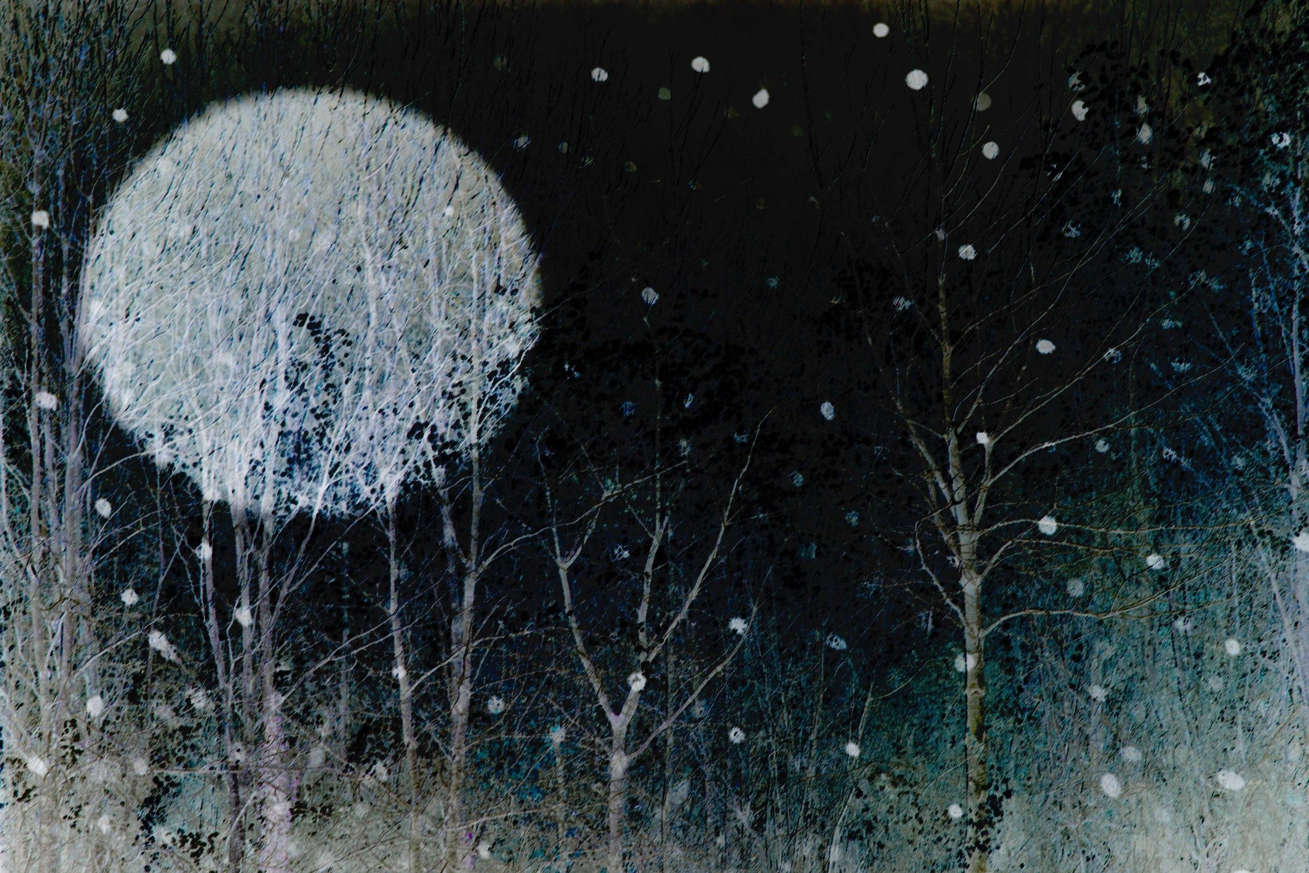 Winter Moon 6 by Sarah Brooks