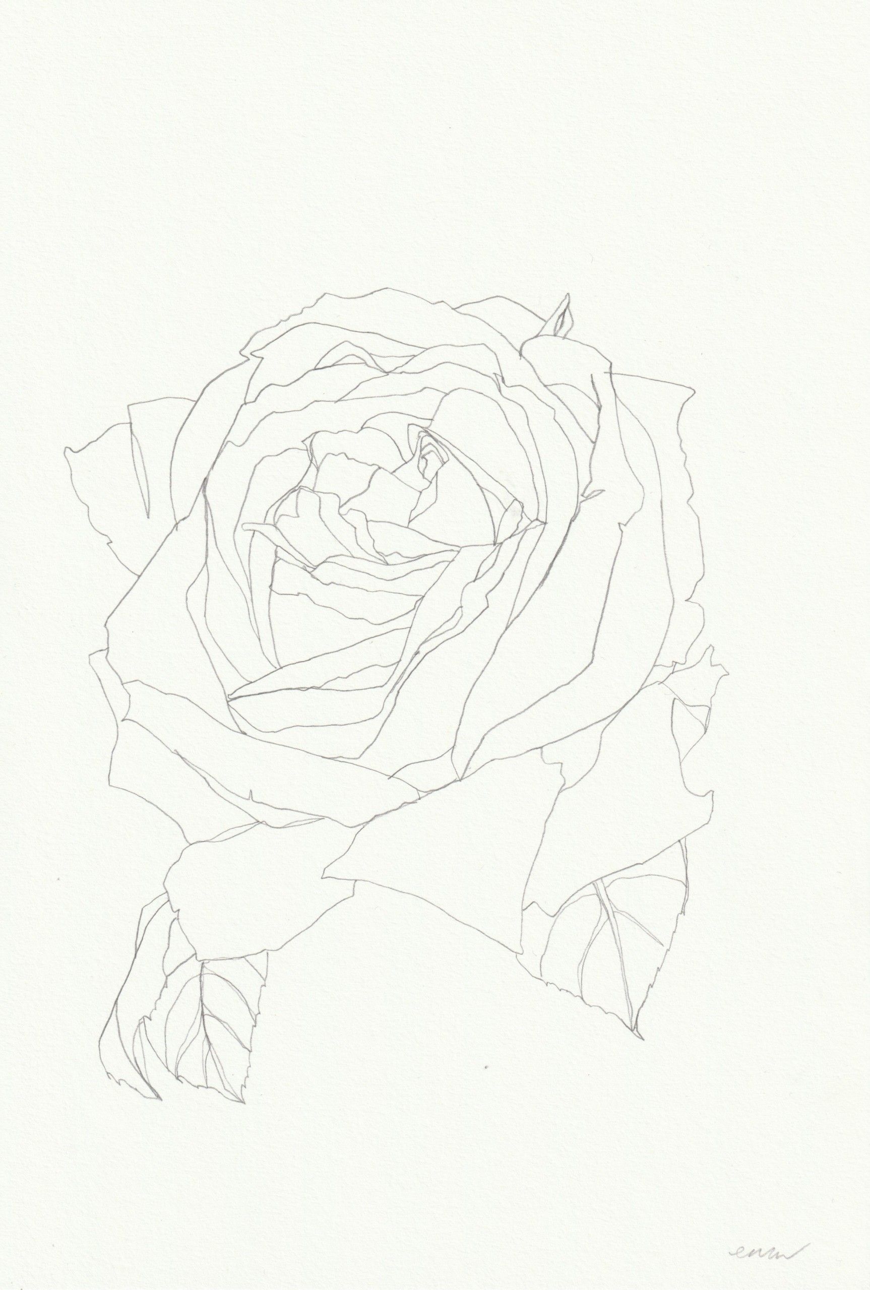 Rose 19 by Ellen Williams