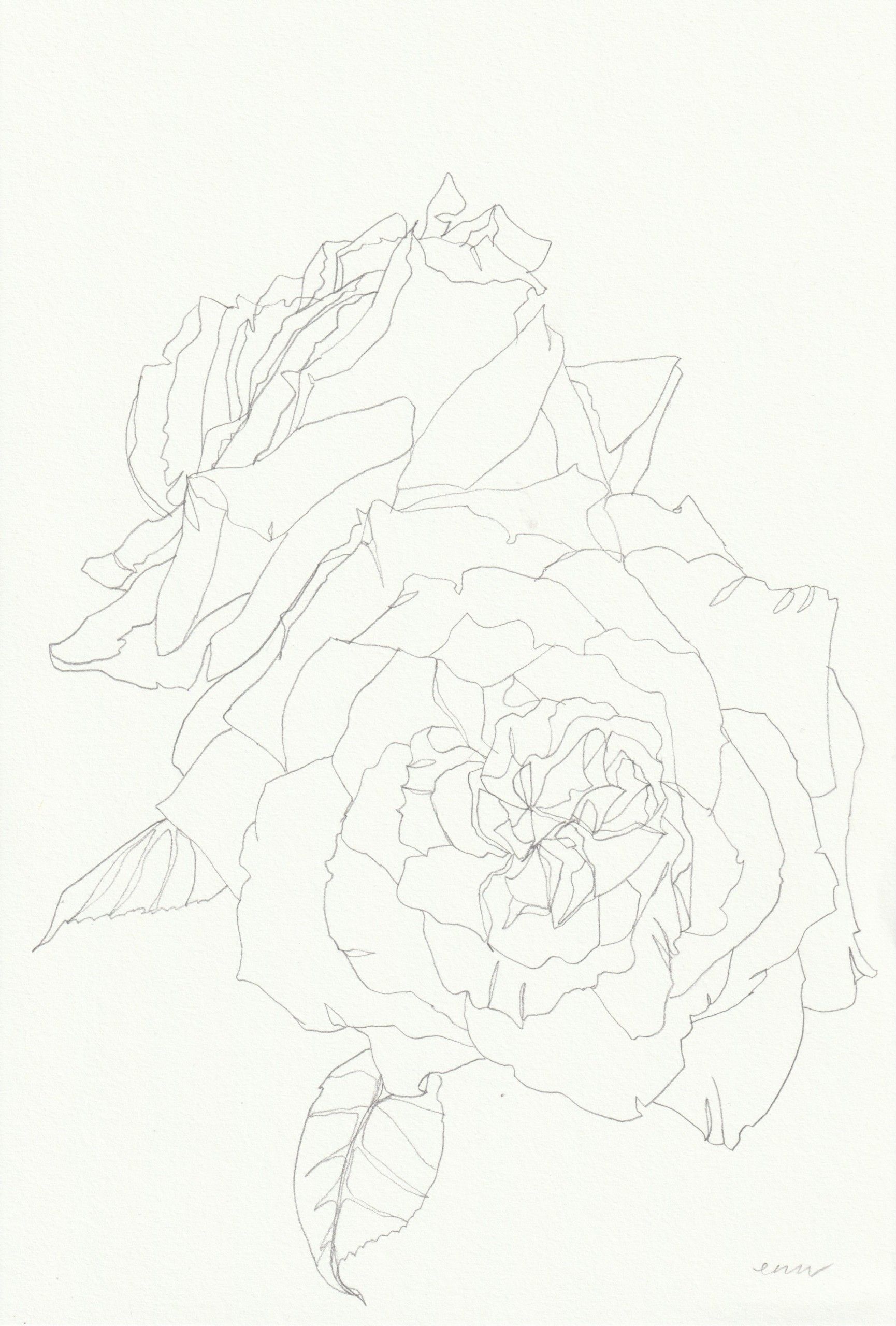 Rose 14 by Ellen Williams