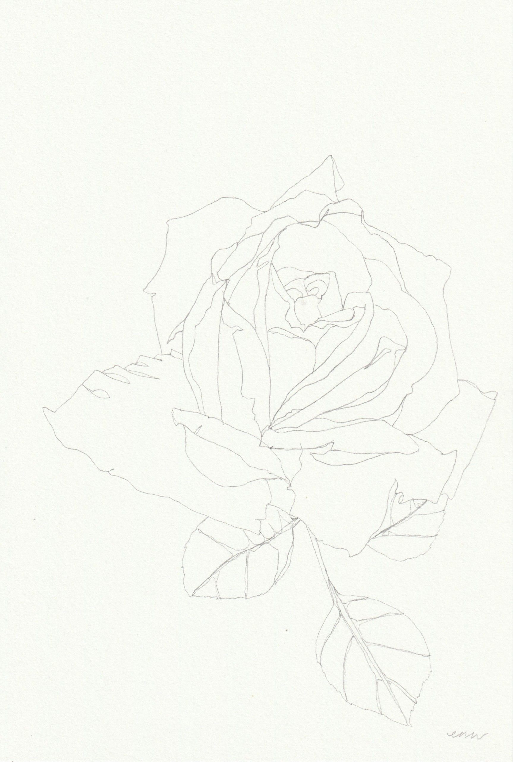 Rose 18 by Ellen Williams