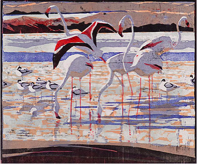 Flamingos & Avocets by Robert Greenhalf