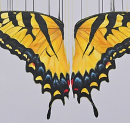 Kissed By The Sun by Louise Mcnaught
