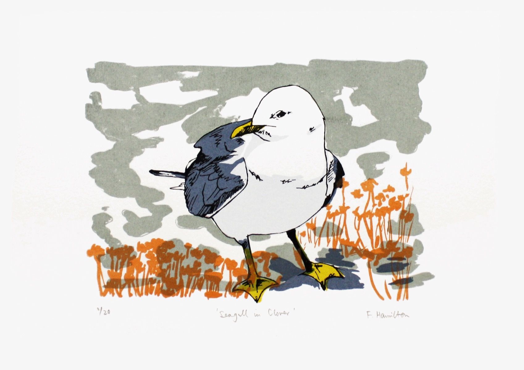 Seagull in Clover by Fiona Hamilton