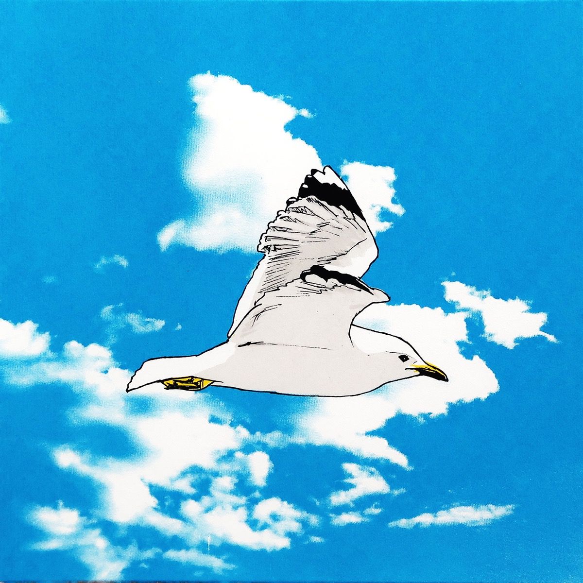 Seagull in Flight by Fiona Hamilton - Secondary Image