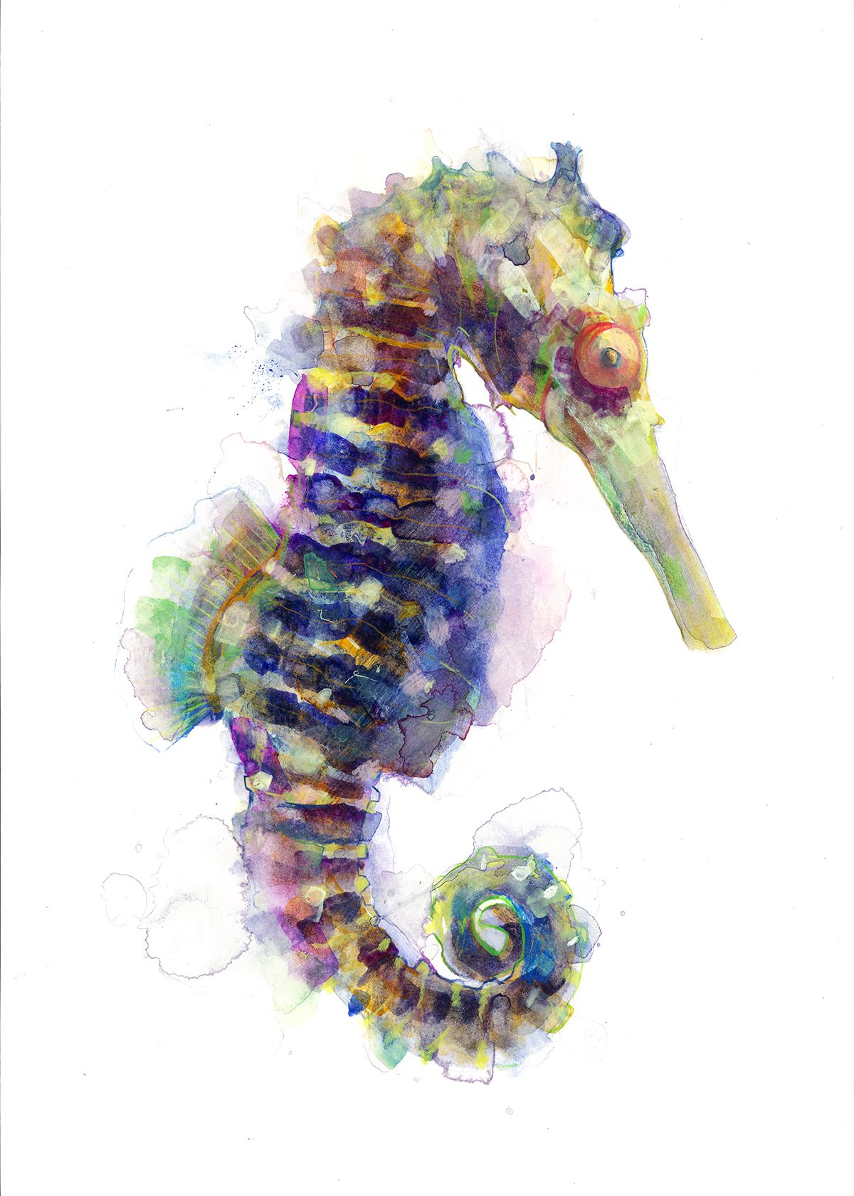 Seahorse by Gavin Dobson