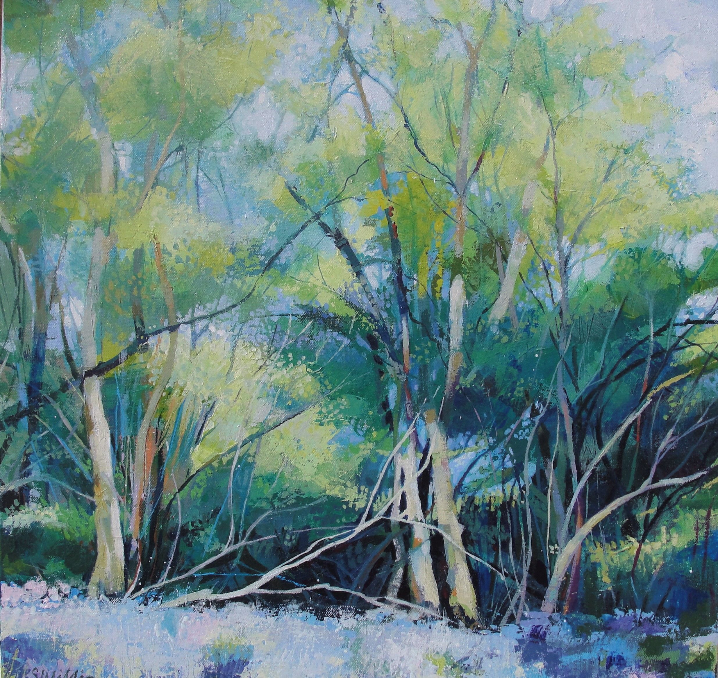 Bruern Woods Bluebells by Sharon Williams
