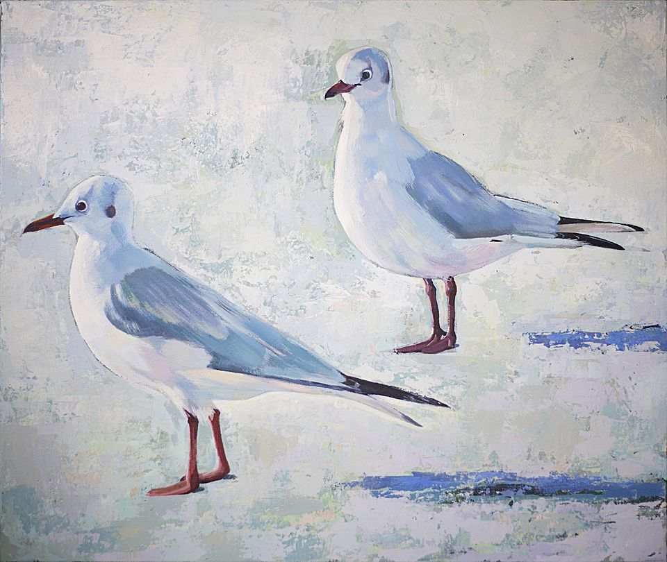 Gulls by Sharon Williams