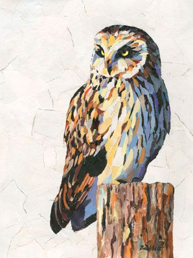 Short-Eared Owl by Paul Bartlett