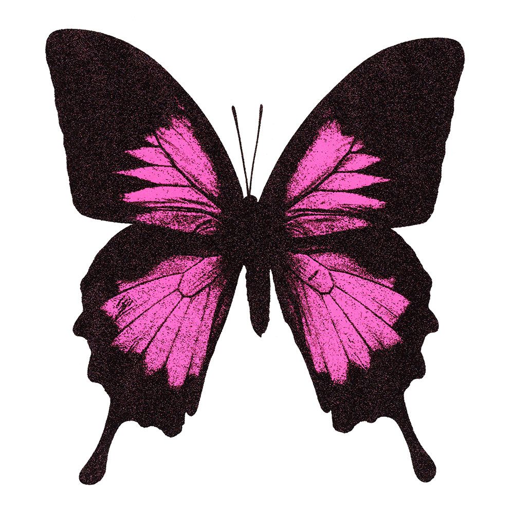 Papilio Ulysses - Neon Pink by Claire Robinson