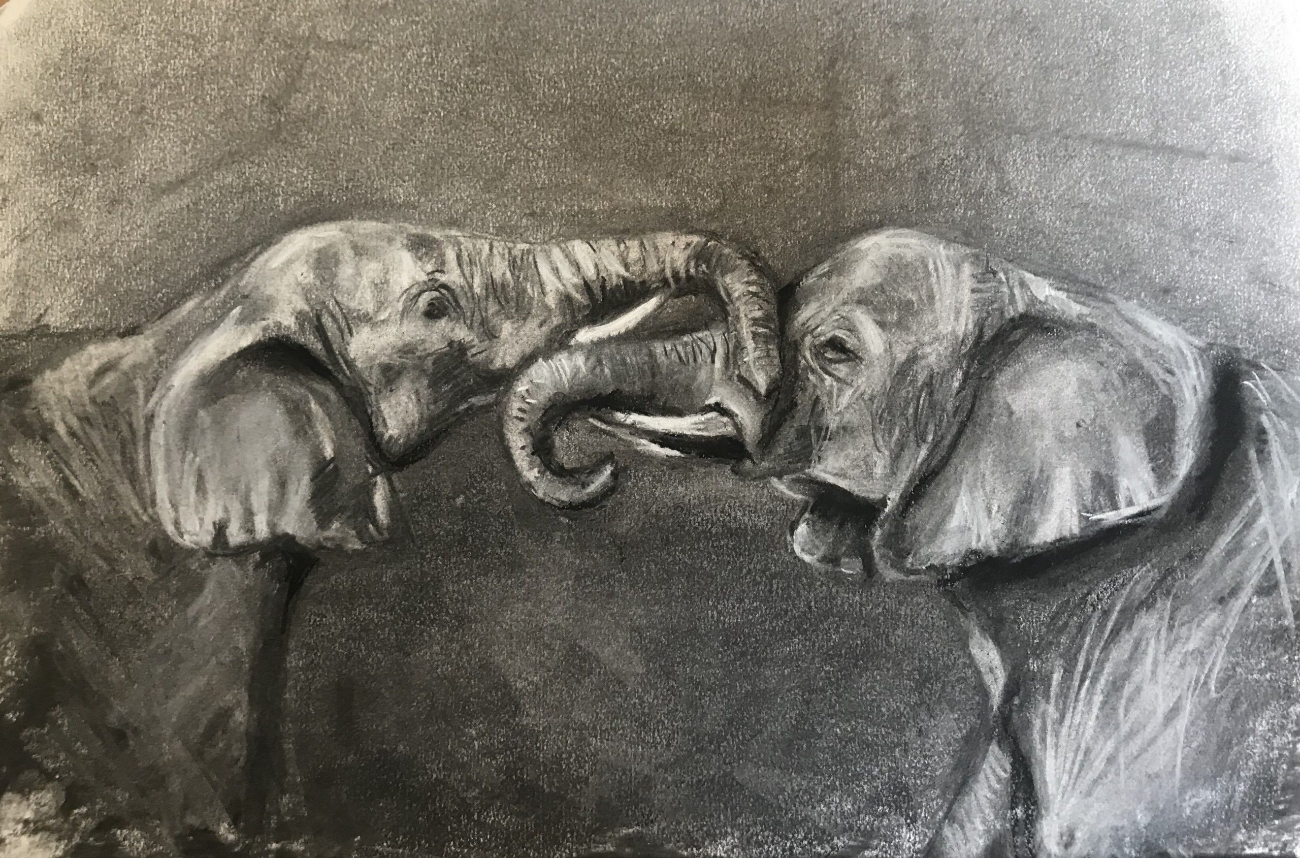 Duel Sketch by Sophie Harden