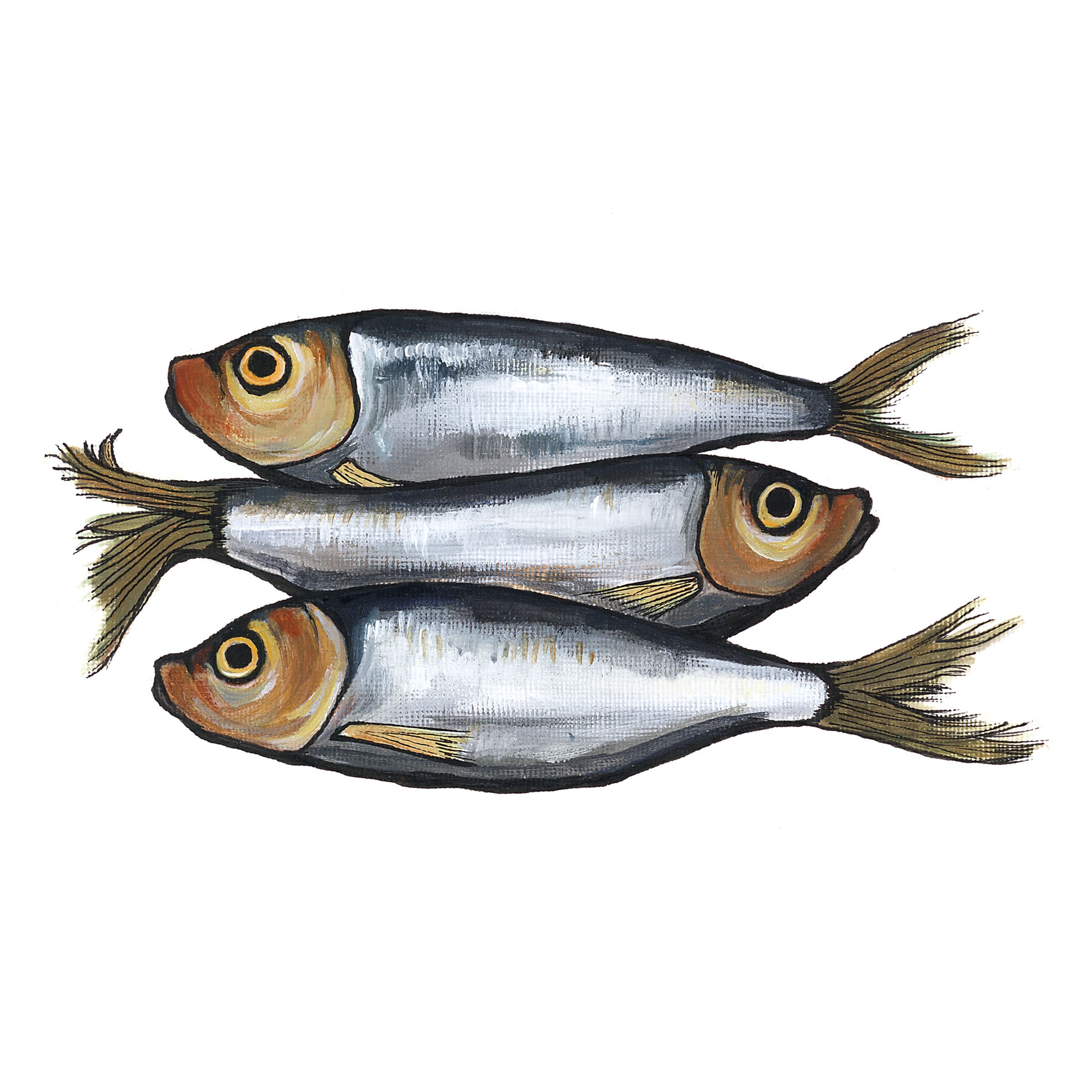 Sprats 3 by Lucy Routh
