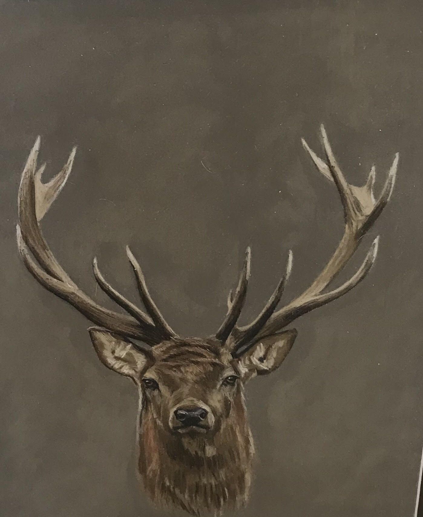 Stag's Head by Roger Heaton