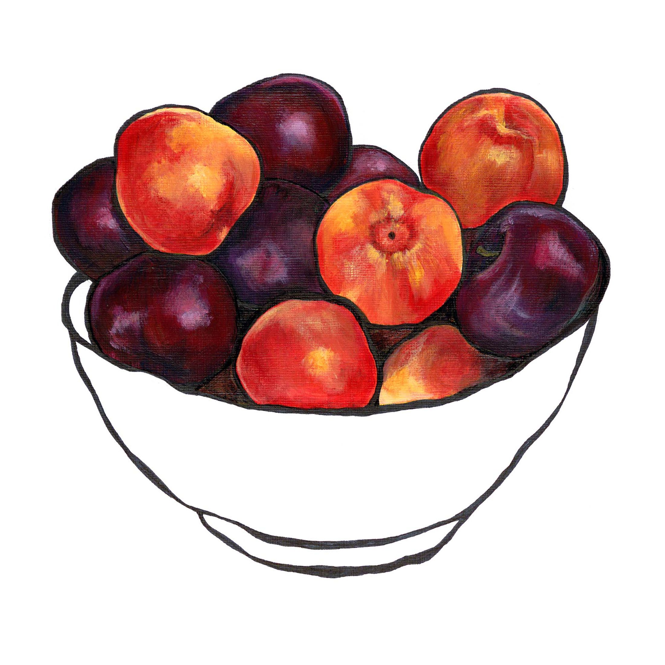 Summer Plums by Lucy Routh