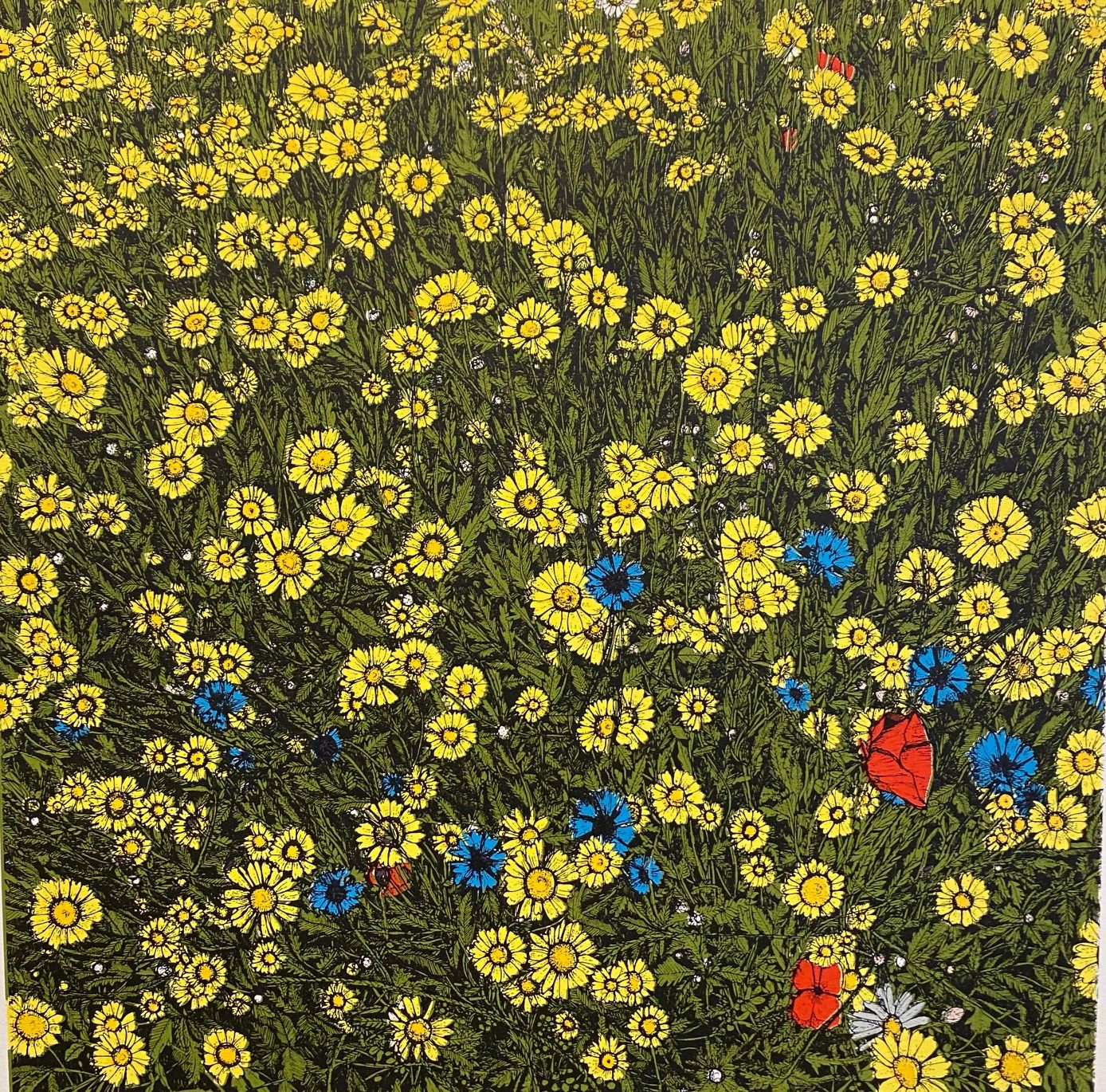 Summer Wildflower by Clare Halifax
