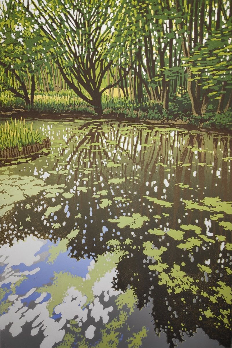 Summer Woodland Pond by Alexandra Buckle