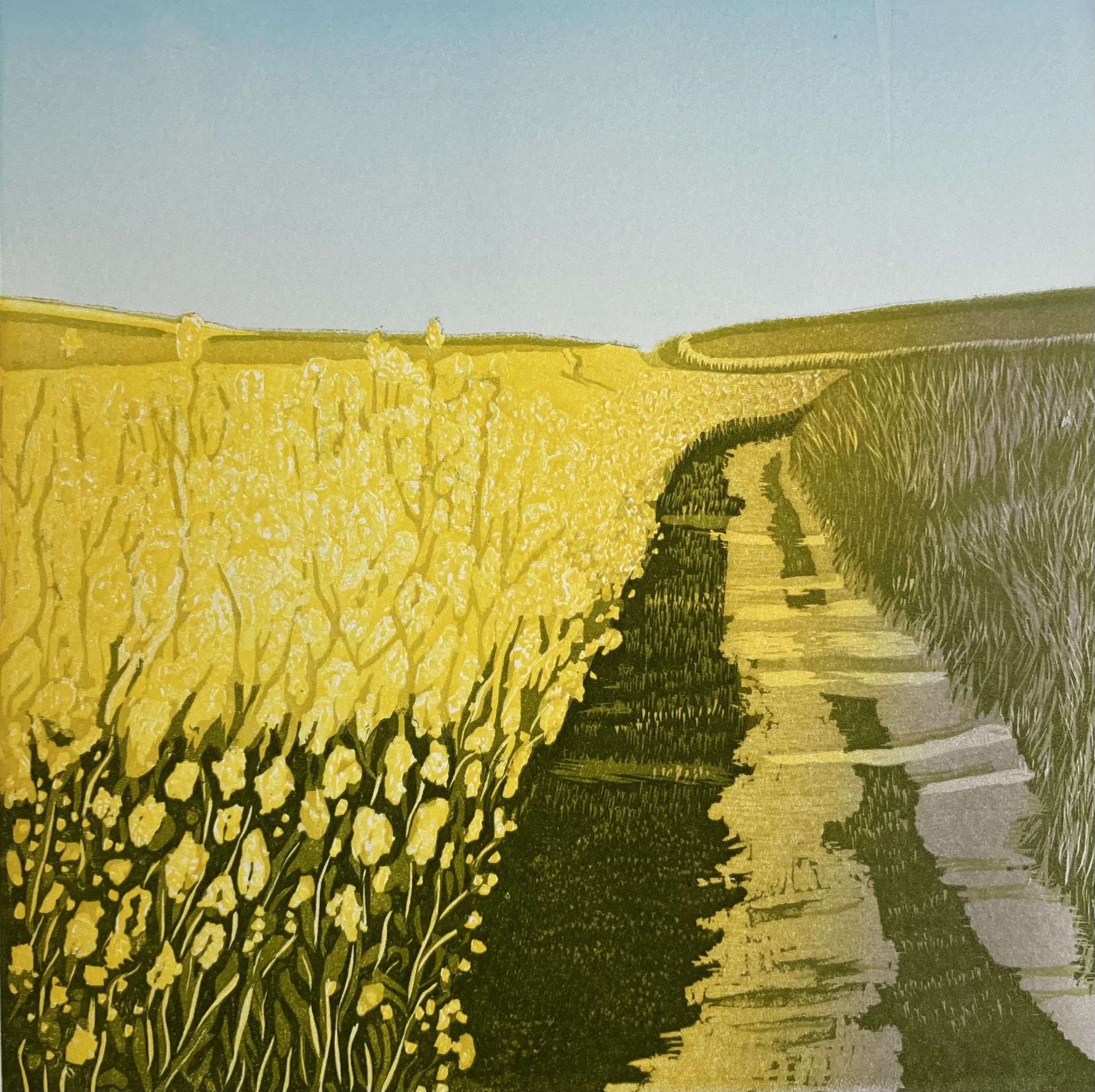Sunshine Fields by Ann Burnham